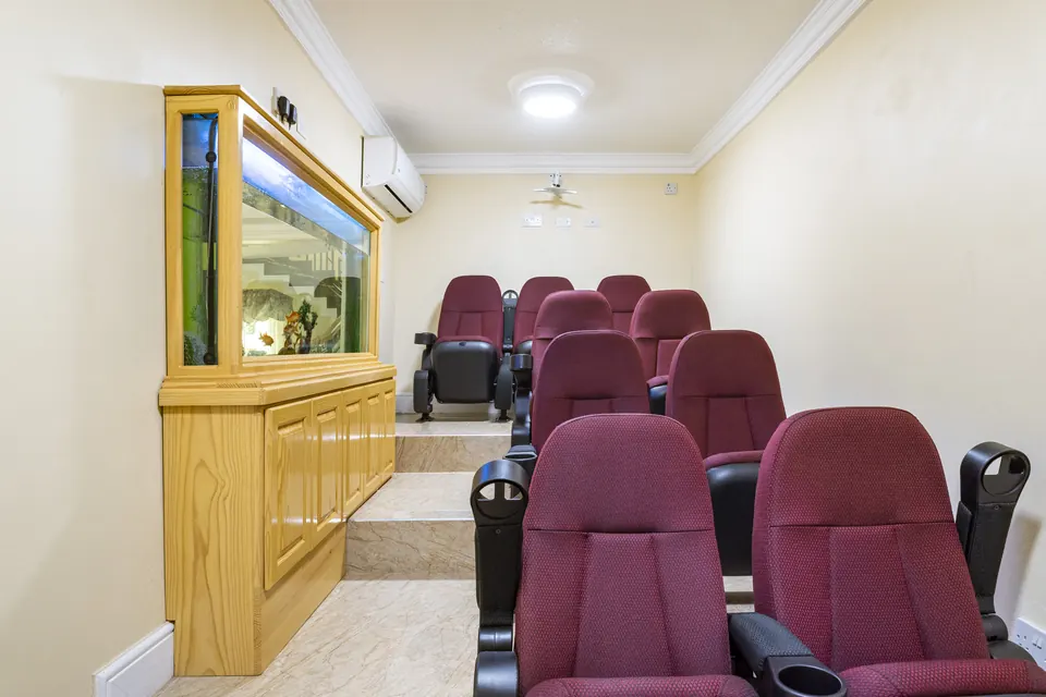 The Movie Theatre